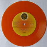 FAT NIGHT - SUN GO DOWN (CREATIVE SOUL) Mint Condition