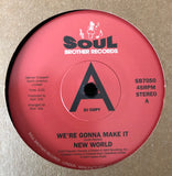 NEW WORLD - WE'RE GONNA MAKE IT (SOUL BROTHER Demo) Mint Condition