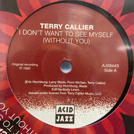 TERRY CALLIER - I DON'T WANT TO SEE MYSELF WITHOUT YOU (ACID JAZZ) Mint Condition