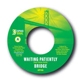 BRIDGE - WAITING PATIENTLY (IZIPHO SOUL) Mint Condition