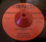 SHADES OF BLUE - TREATS ME RIGHT (INFERNO) Mint Condition