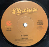 PLEASURE - WE HAVE SO MUCH/JOYOUS (MINT CONDITION)