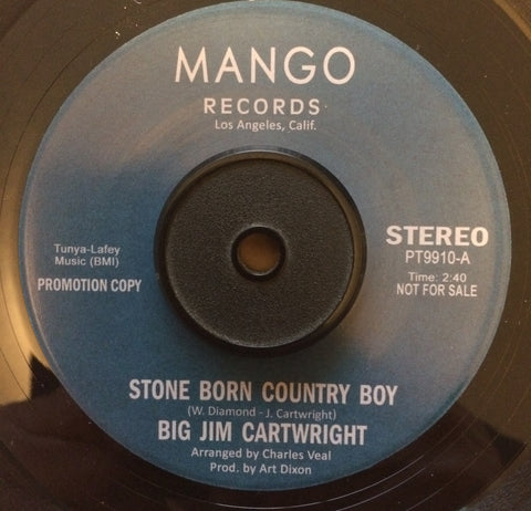 BIG JIM CARTWRIGHT - STONE BORN COUNTRY BOY (MANGO) Mint Condition