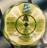 FLAVOR - DON'T FREEZE UP (B-SIDE - INSTRUMENTAL) EXCELLENT CONDITION