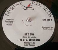 D C BLOSSOMS - HEY BOY (SHRINE) Mint Condition