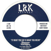 DANNY TOEMAN - IF WHAT YOU SAY IS WHAT YOU MEAN (LRK RECORDS) Mint Condition