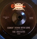 DELICATES - STOP SHOVING ME AROUND (CHALLENGE) Ex Condition
