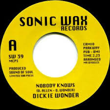 DICKIE WONDER - NOBODY KNOWS (SONIC WAX) Mint Condition