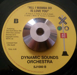 DYNAMIC SOUND ORCHESTRA - TAKE ME BACK (SOUL JUNCTION) Mint Condition.