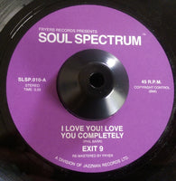 EXIT 9 - I LOVE YOU LOVE YOU COMPLETELY (SOUL SPECTRUM) Mint Condition