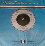 MOTHER FREEDOM BAND - BEAUTIFUL SUMMER DAY (ALL PLATINUM) Mint Condition