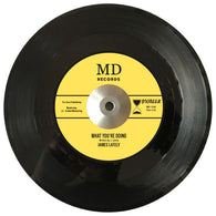 JAMES LATELY - WHAT YOU'RE DOING (A SIDE VOCAL, B SIDE INSTRUMENTAL VERSION) MINT CONDITION