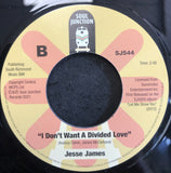 JESSE JAMES - IF A MAN EVER LOVED A WOMAN (SOUL JUNCTION) Mint Condition