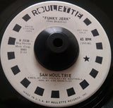 SAM MOULTRIE - THE PROMISED LAND (ROULETTE Promo) Vg+ Condition