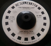 SAM MOULTRIE - THE PROMISED LAND (ROULETTE Promo) Vg+ Condition