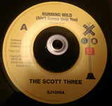 SCOTT THREE - RUNNING WILD (SOUL JUNCTION) Mint Condition