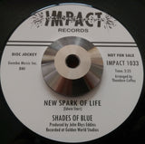 SHADES OF BLUE - TREATS ME RIGHT (INPACT Demo) Mint Condition
