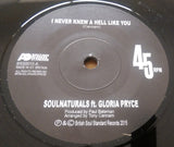 SOULNATURALS Ft GLORIA PRYCE - I NEVER KNEW A HELL LIKE YOU - MODERN  SOUL