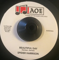 SPIDER HARRISON - BEAUTIFUL DAY ( AOE) Mint Condition