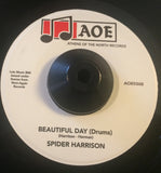 SPIDER HARRISON - BEAUTIFUL DAY ( AOE) Mint Condition