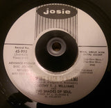 T J WILLIAMS - MY LIFE (JOSIE W/Demo) Ex Condition