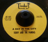 TEDDY & THE PANDAS - THE LOVELIGHT (TIMBRI) Ex Condition