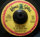TERI NELSON GROUP - SWEET TALKIN' WILLIE (KAMA SUTRA) Ex Condition
