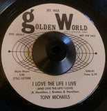 TONY MICHAELS - PICTURE ME AND YOU (GOLDEN WORLD W/D) Ex Condition
