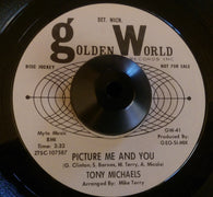 TONY MICHAELS - PICTURE ME AND YOU (GOLDEN WORLD W/D) Ex Condition