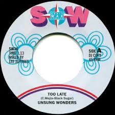 UNSUNG WONDERS - TOO LATE (SONIC WAX) Mint Condition