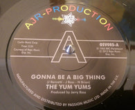 YUM YUMS - IT,S GONNA BE A BIG THING (OUTTA SIGHT DEMO) Mint Condition